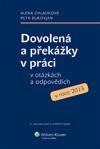 DOVOLENÁ A PŘEKÁŽKY V PRÁCI 2013 V OTÁZKÁCH A ODPOVĚDÍCH